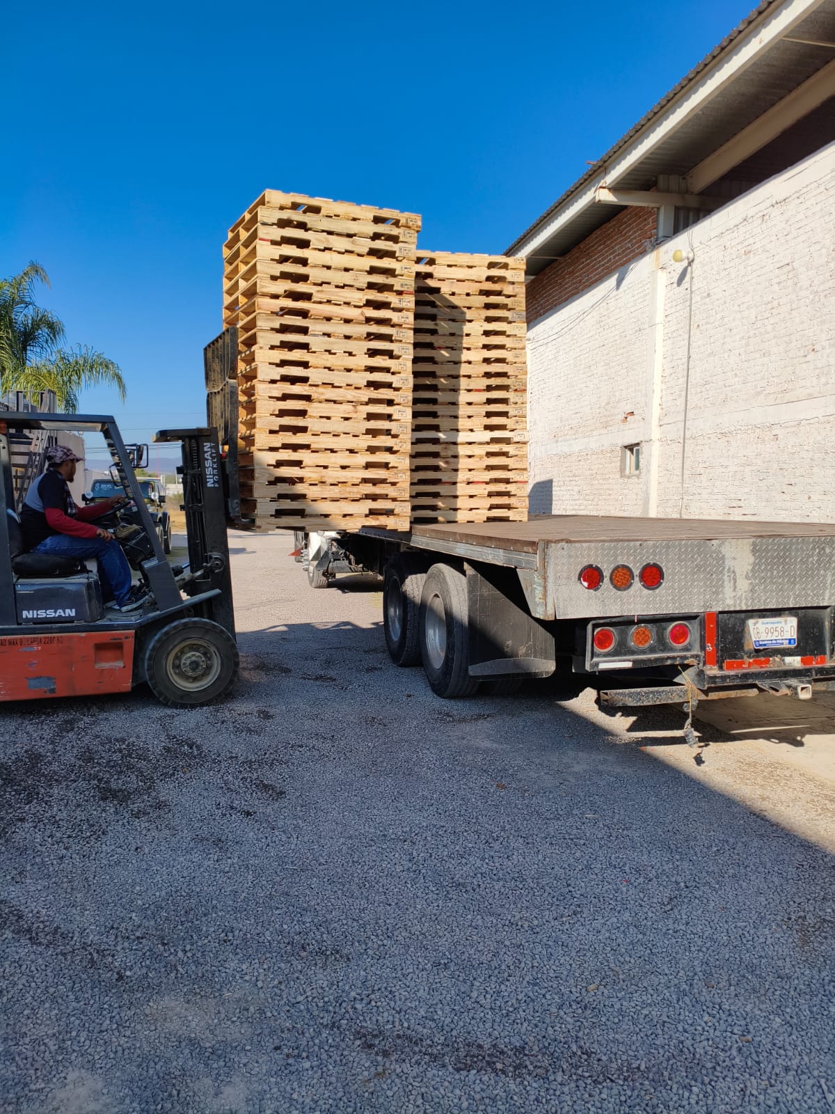 Sustainable Forestry