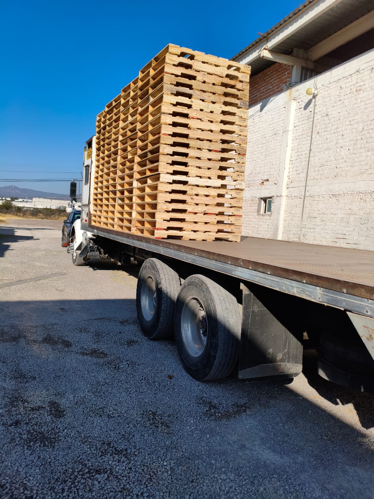 Waste Reduction Programs